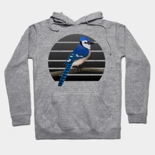 jz.birds Blue jay Bird Animal Art Hoodie